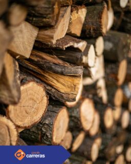 Mantingues la teva llar calenta, aconsegueix llenya de qualitat per a la llar de foc a Gasoils Carreras.