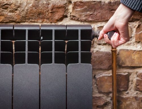 Febrer: L’energia que dona tranquil·litat tot l’any